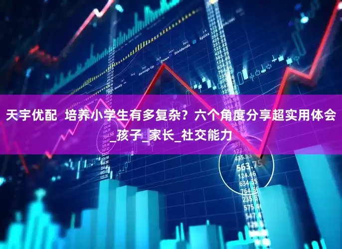 天宇优配  培养小学生有多复杂？六个角度分享超实用体会_孩子_家长_社交能力