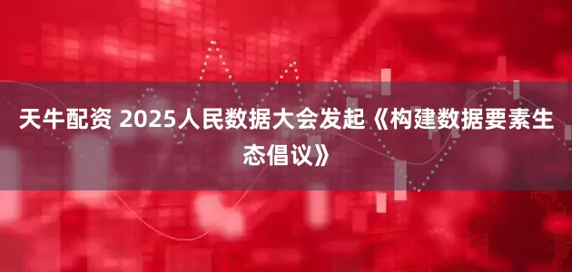 天牛配资 2025人民数据大会发起《构建数据要素生态倡议》